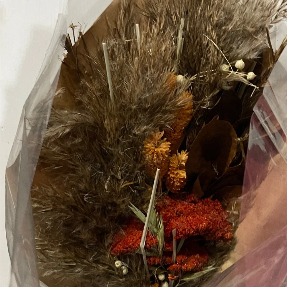 Threshold Preserved Bundle with Natural Hues